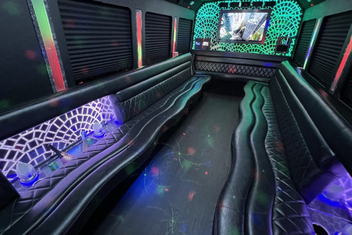 Bolingbrook Limo Bus Interior